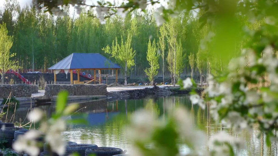 探秘新疆梦幻那拉泉木屋房车营地享受梦境中的春天！